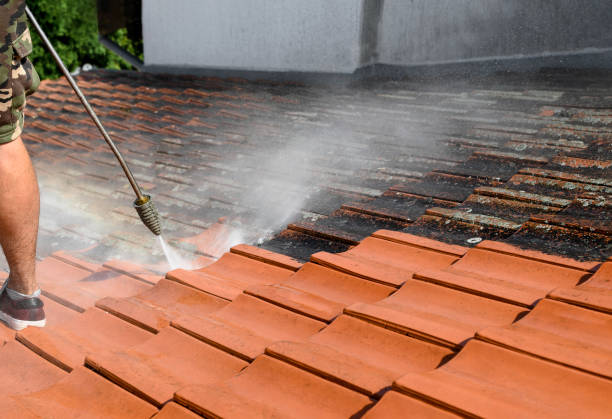 Best Garage Pressure Washing  in Fern Park, FL